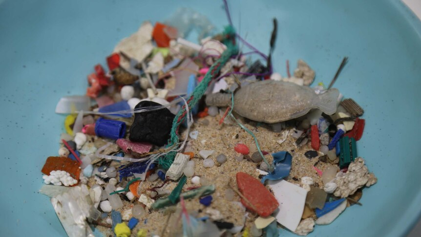 A close up of microplastics