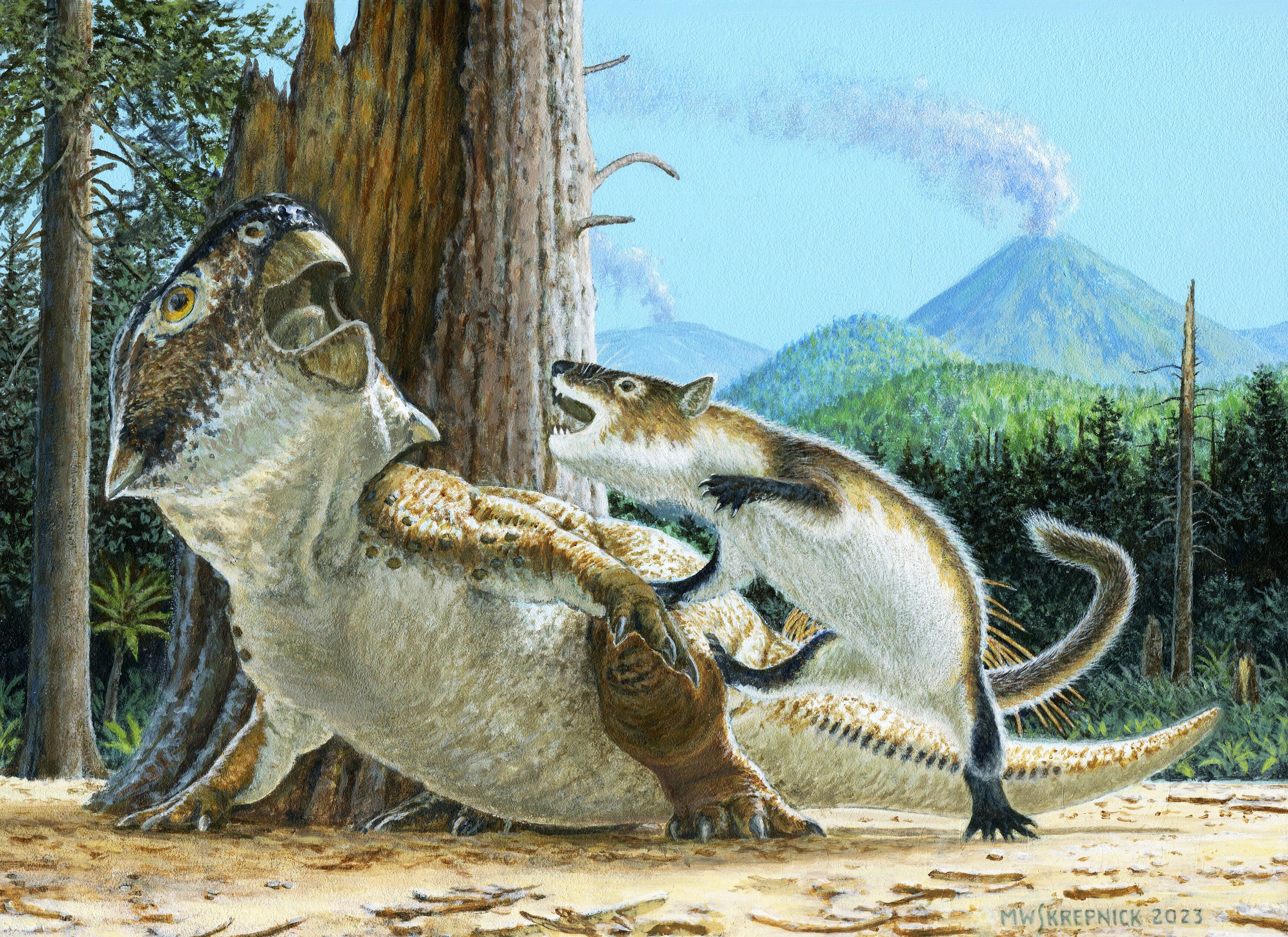 Mammals may have hunted dinosaurs much larger than them, rare fossil