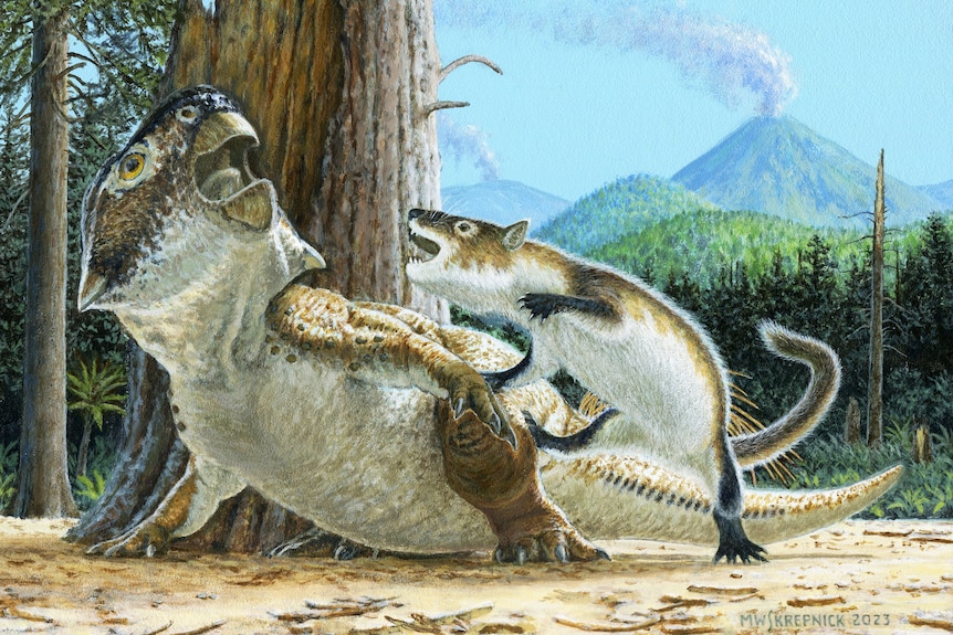 An illustration of a rodent-like white and brown mammal attacking a lizard-like beaked dinosaur in front of two volcanoes.