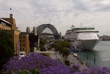 A cruise ship docked at Circular Quay Sydney