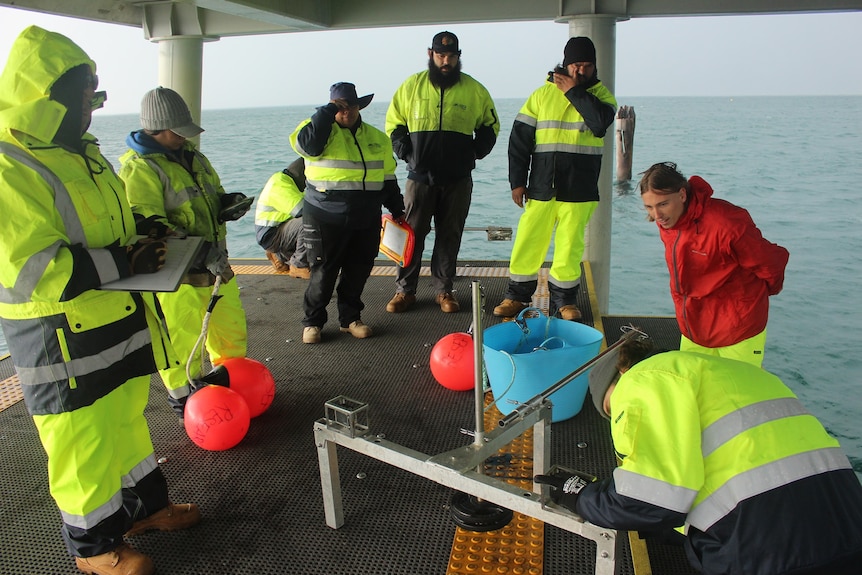 Rangers stand on the jetty with buoys and paper