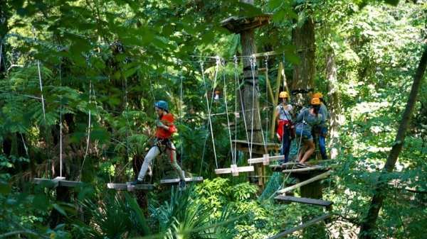 Tree Adventures, a business looking to set up in Tasmania, operates in NSW and Victoria