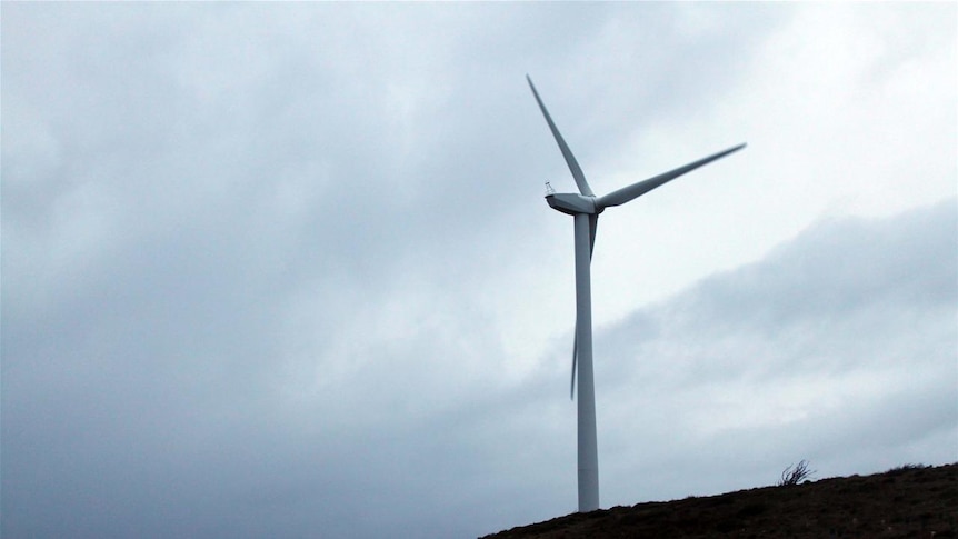 Wind turbines at Cape Bridgewater (File photo)