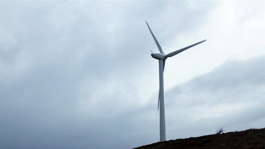 Wind turbines at Cape Bridgewater