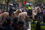 Mounted police officers on horses in the middle of a demonstration. 