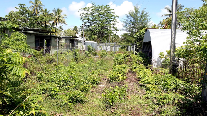 Former Manus Island detention facility overgrown with trees