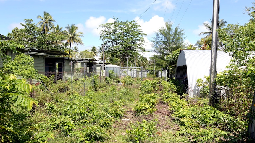 Former Manus Island detention facility overgrown with trees