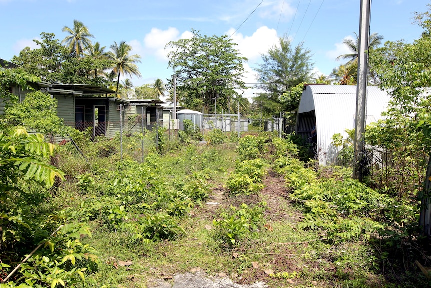 Former Manus Island detention facility overgrown with trees