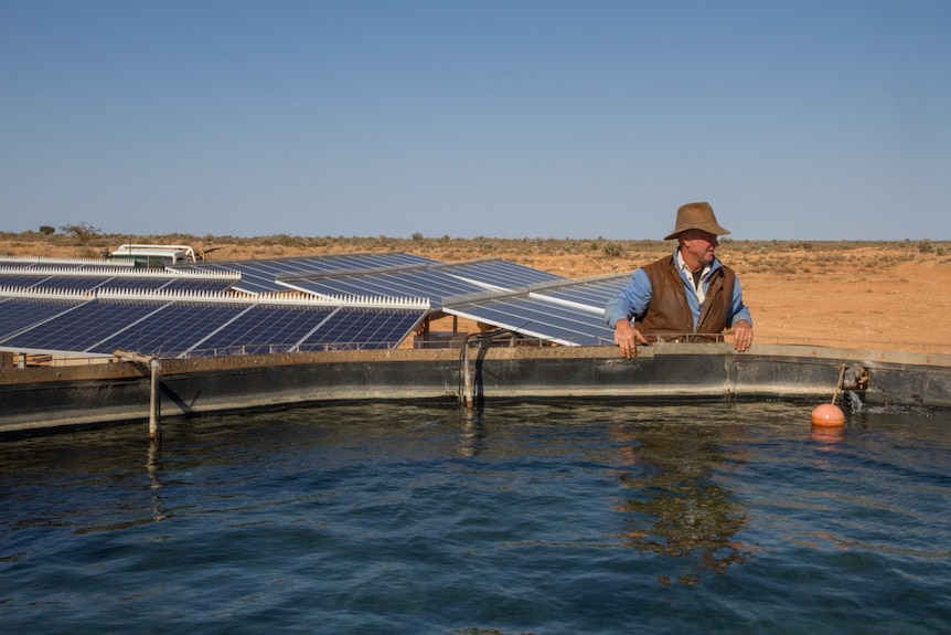 A man inspects solar panels on an outback station