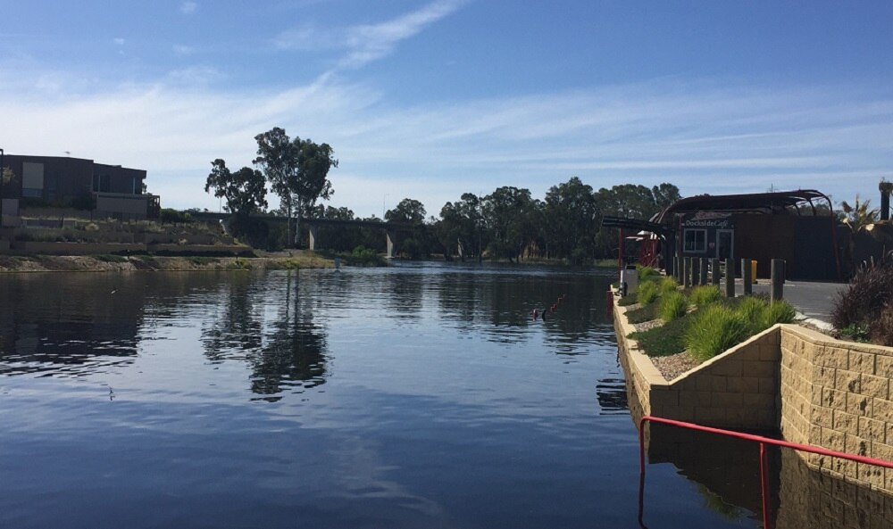 Mildura riverfront to close for Murray River floods ABC News