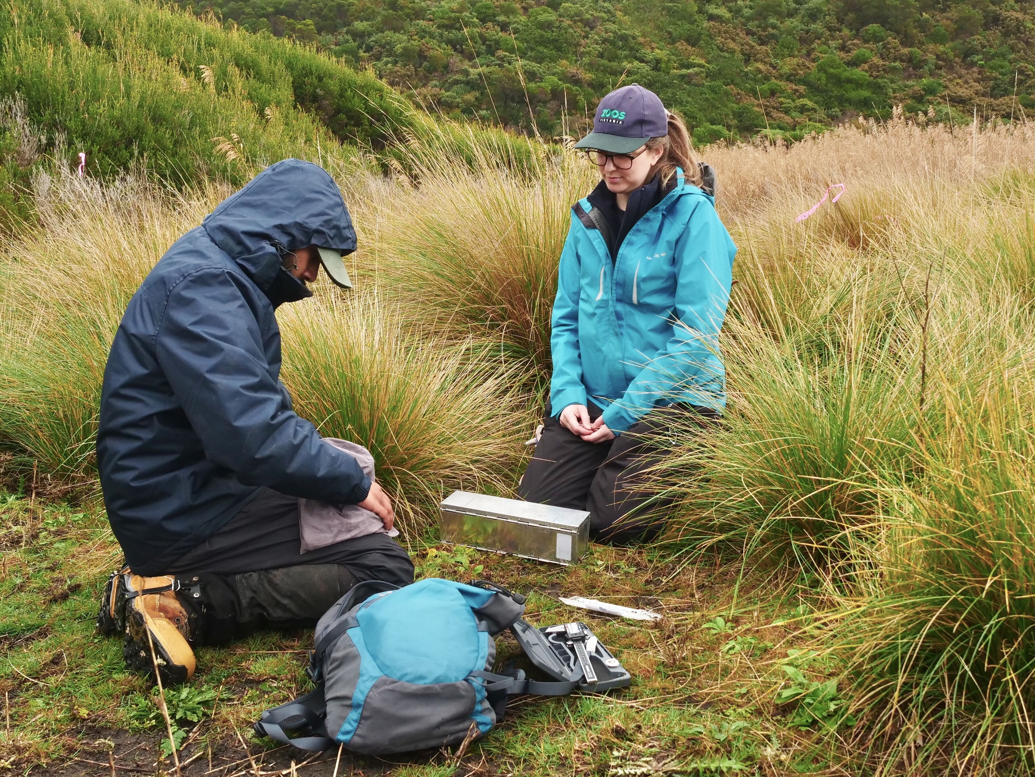Two scientists kneel in the grass with a small trap.
