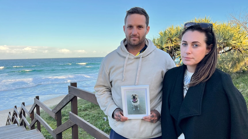 A man holding a picture of a dog stands next to a woman on a set of stairs leading to a beach