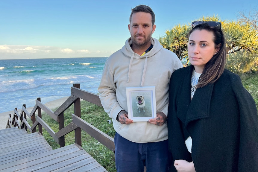 A man holding a picture of a dog stands next to a woman on a set of stairs leading to a beach