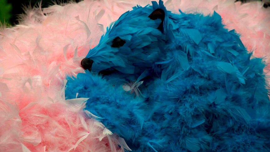 A sculpture of a blue feathered bear cub surrounded by pink feathers