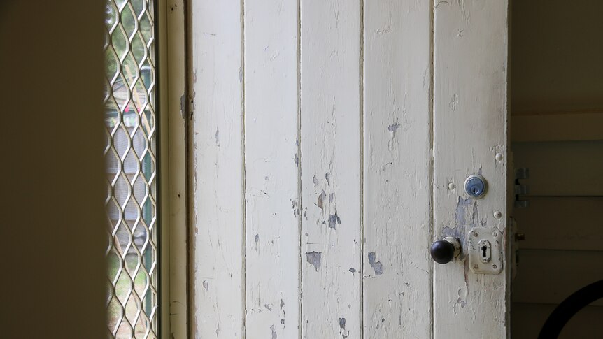 The paint cracks and peels away on a door leading to the backyard of a home.