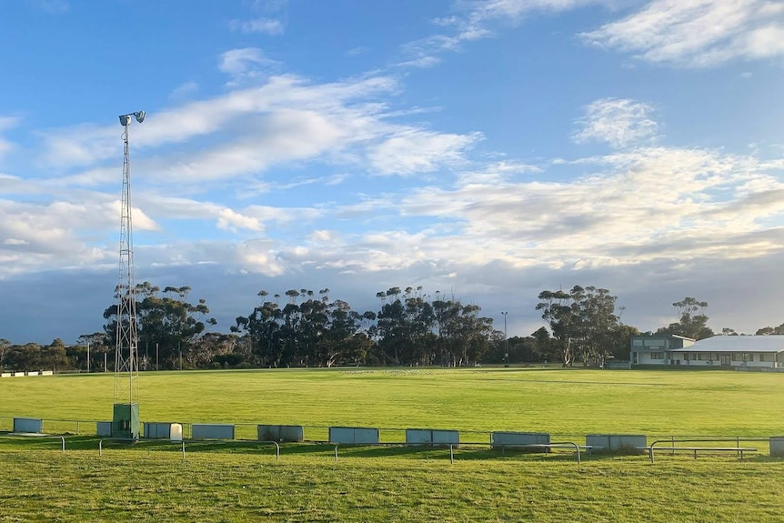 The sun shines down on a large and freshly-mowed tree lined football oval.