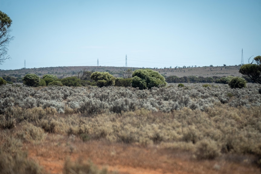 Bush at the proposed site of a hydrogen plant.