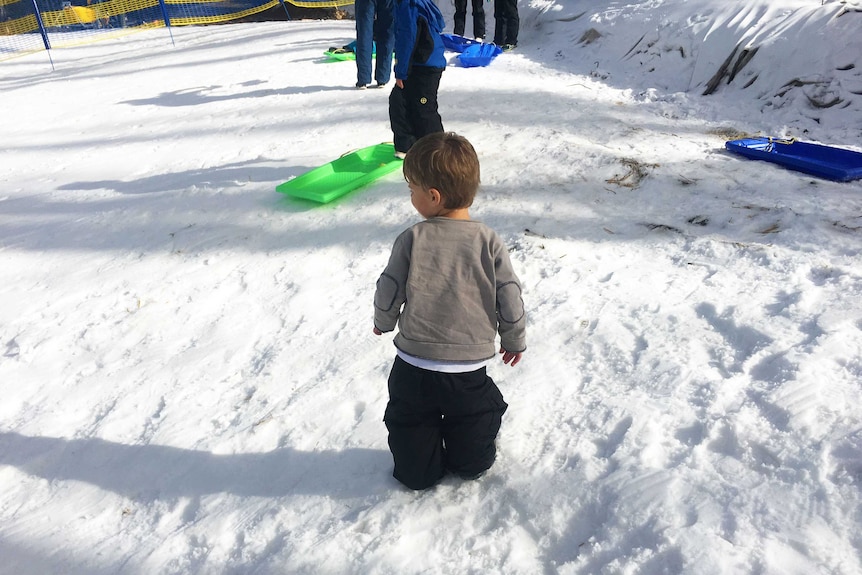 A young boy in the snow at Corin Forest.