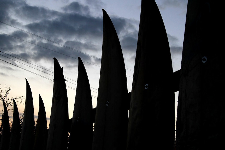 Black and white silhouettes of surfboards lined up as a fence