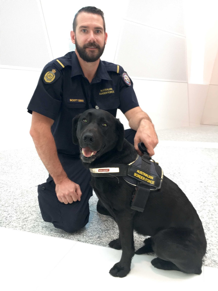 A border force office with sniffer dog.