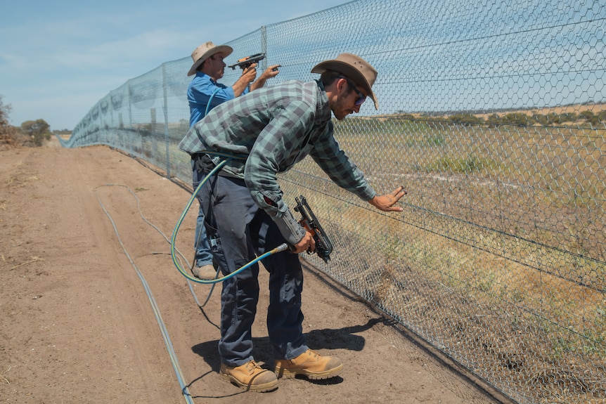Two men wearing hats and long shirts put up a wire fence