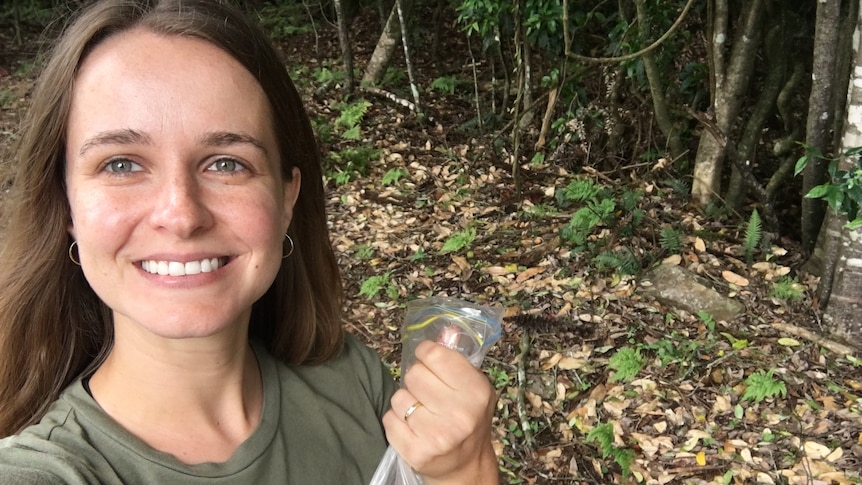 A smiling woman holds up a bag of Bunya nuts in the forest.