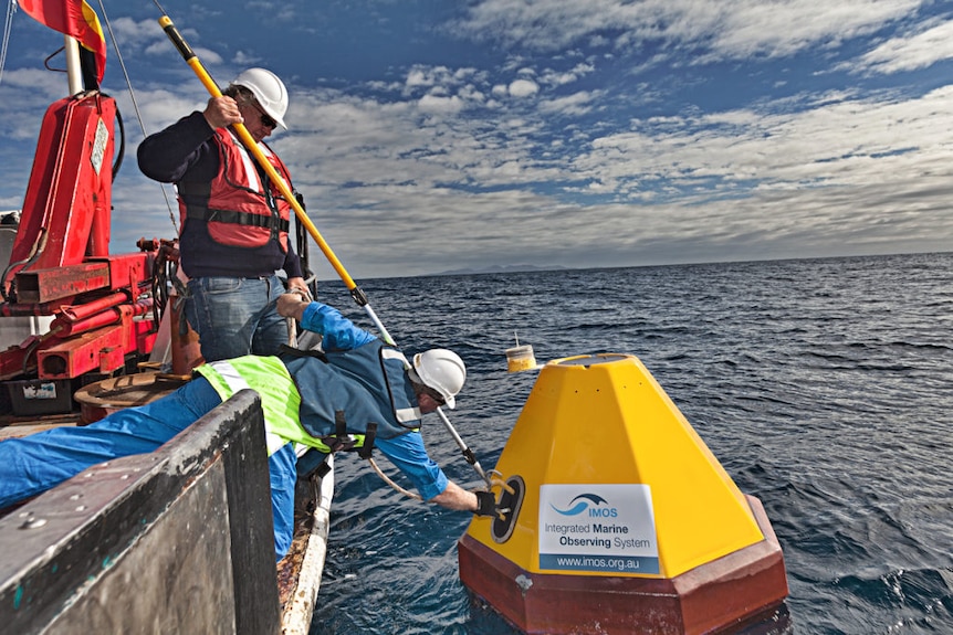 Two workers on a boat tinkering with a bright yellow buoy labelled with an IMOS sign