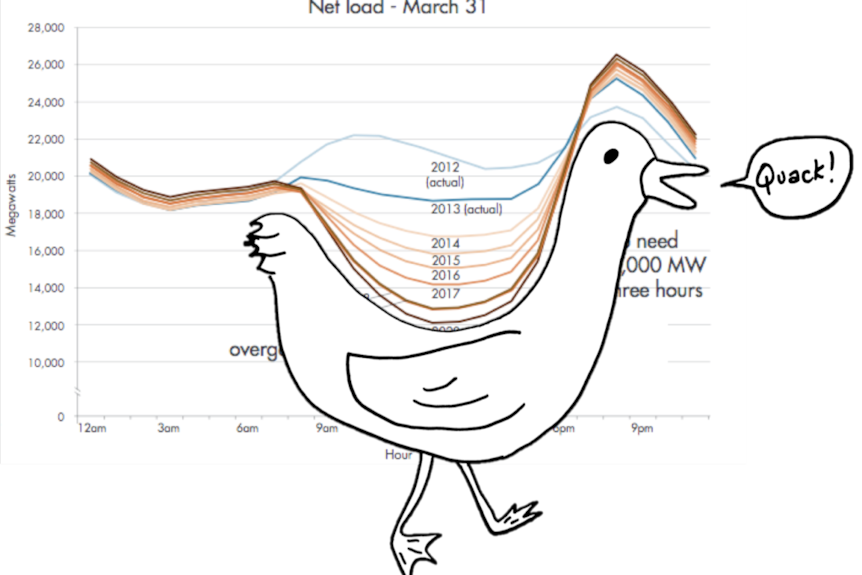 Line graph showing electricity demand during the day, with the picture of a duck superimposed over the top