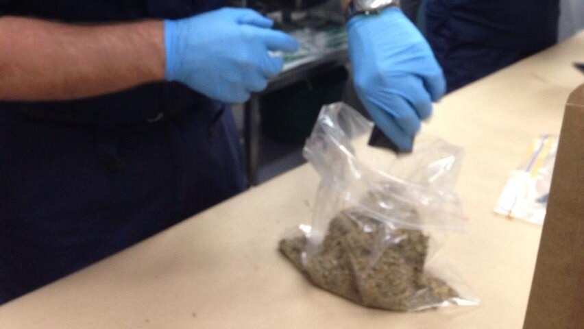 Queensland Police bag synthetic cannabis