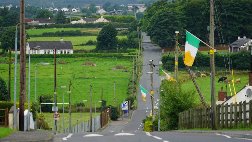 Irish flags are dotted along a road in a town on the Irish-British border, with houses and green fields in the background.