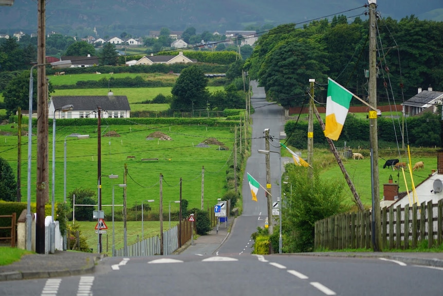 Irish flags are dotted along a road in a town on the Irish-British border, with houses and green fields in the background.