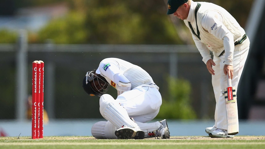 That hurt ... Angelo Mathews writhes in pain after copping a Mitchell Starc bouncer on the elbow.