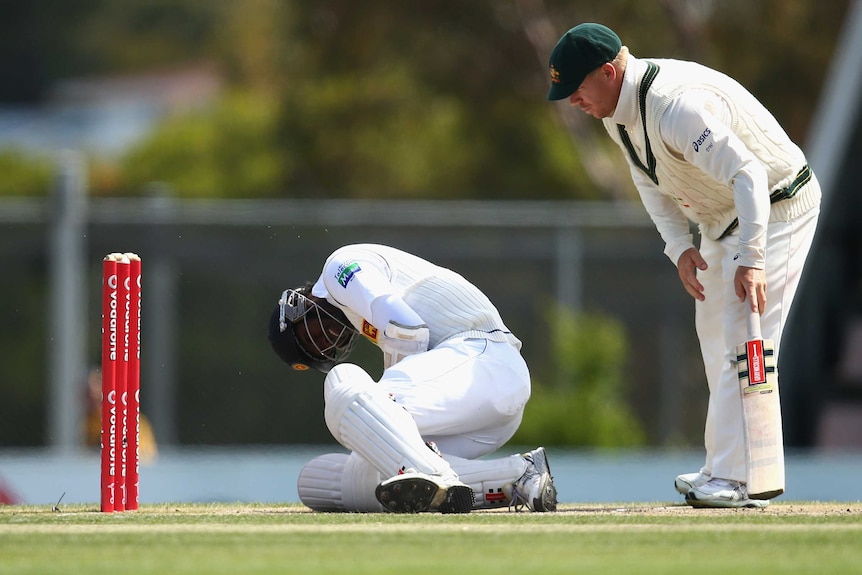 That hurt ... Angelo Mathews writhes in pain after copping a Mitchell Starc bouncer on the elbow.
