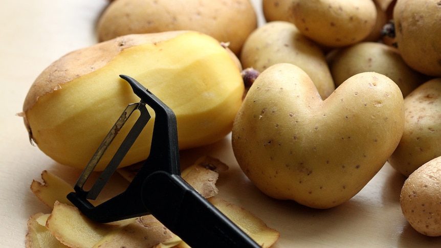 Half peeled potato with peeler