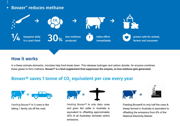 A graphic explaining how Bovaer works.