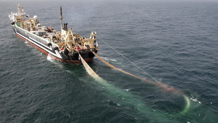 Larger trawler drags a net.