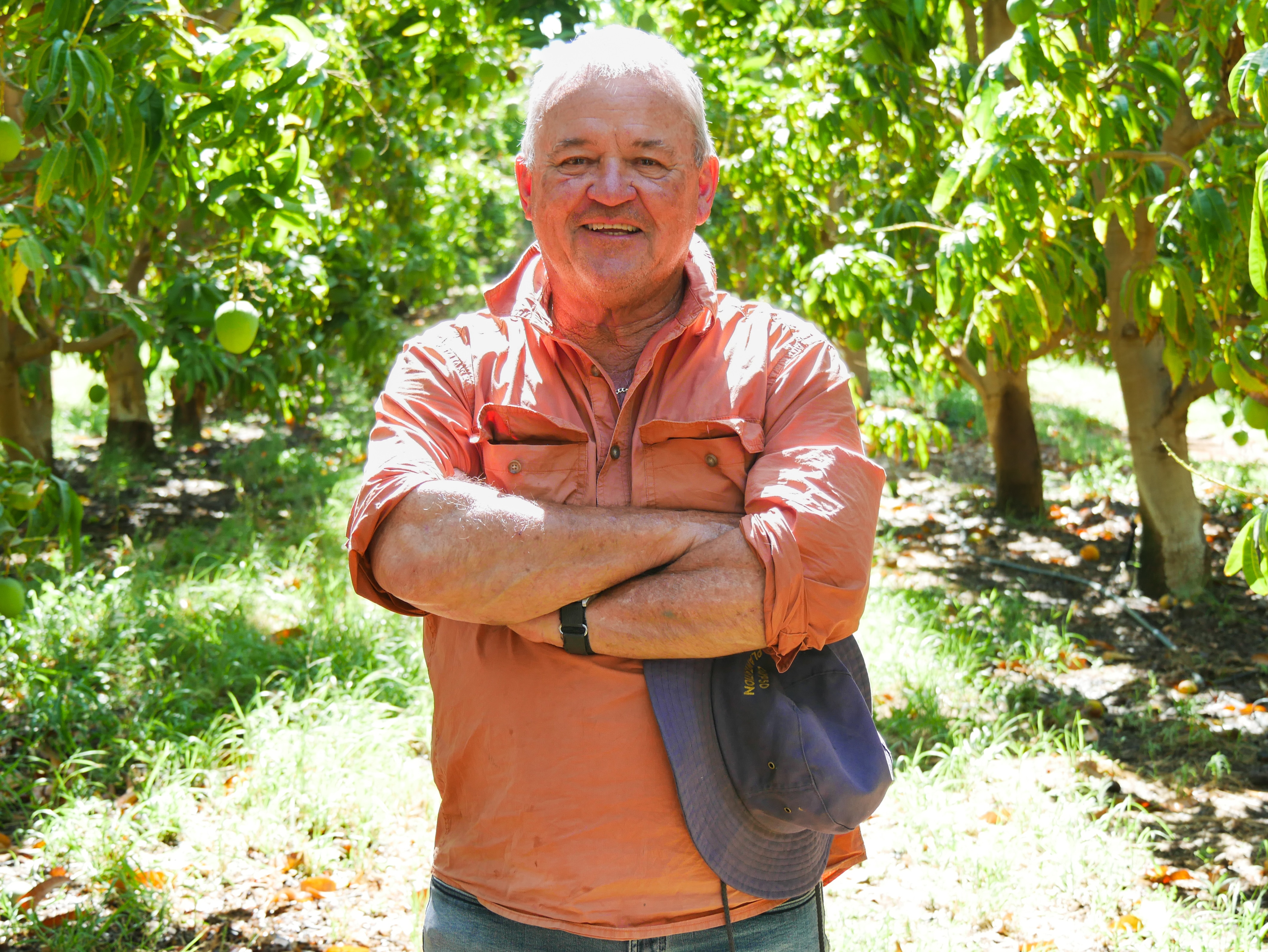 Un productor local se encuentra entre árboles de mango con los brazos cruzados.