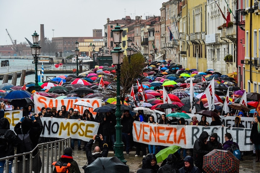Protesters in the streets of Venice with umbrellas and signs.