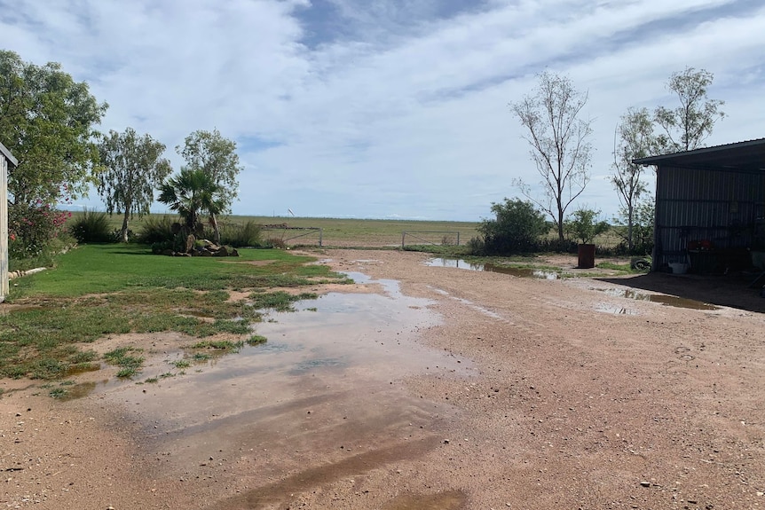 Wet driveway, green grass on farm