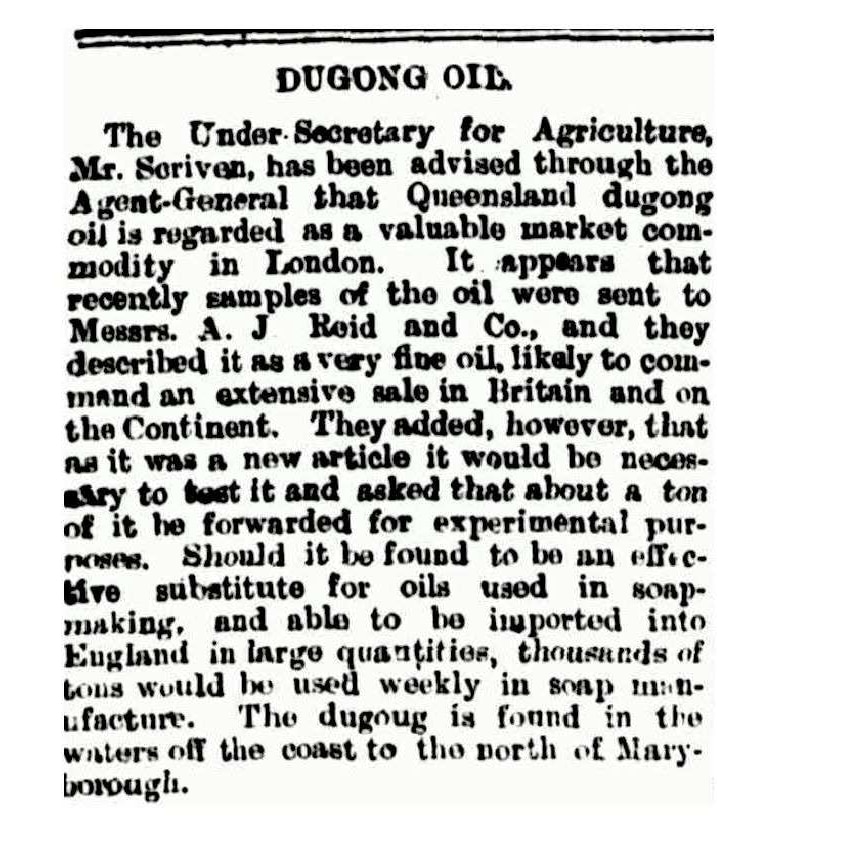 Article on the uses and interest in dugong oil.