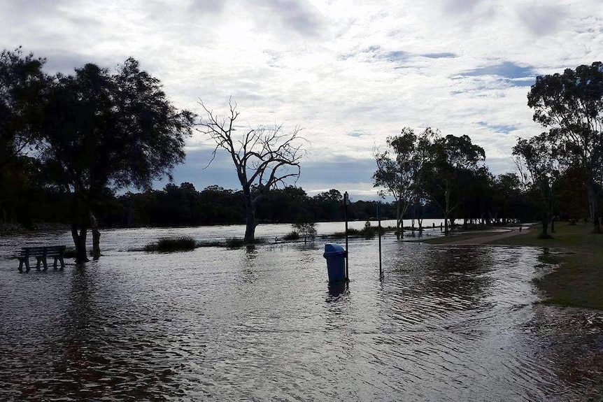 An oval is under water next to the Swan River in Perth.