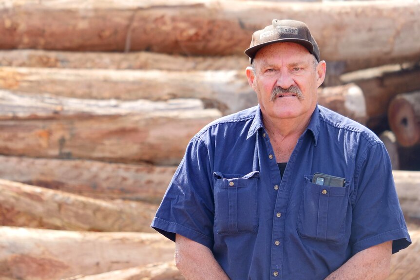 A moustachioed man wearing a dark cap stands in front of a large pile of lumber.