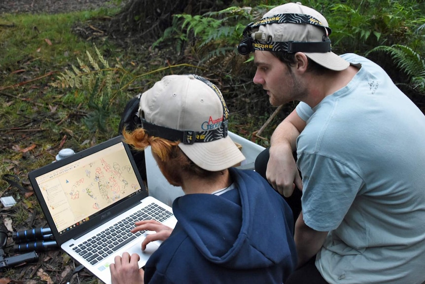 Two young men wearing head torches look at a computer screen mapping out the forest, as they prepare to venture into bushland