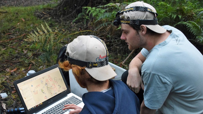 Two young men wearing head torches look at a computer screen mapping out the forest, as they prepare to venture into bushland