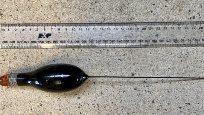 An oblong-shaped black object measured next to a ruler.