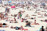 People sunbathe on a beach.