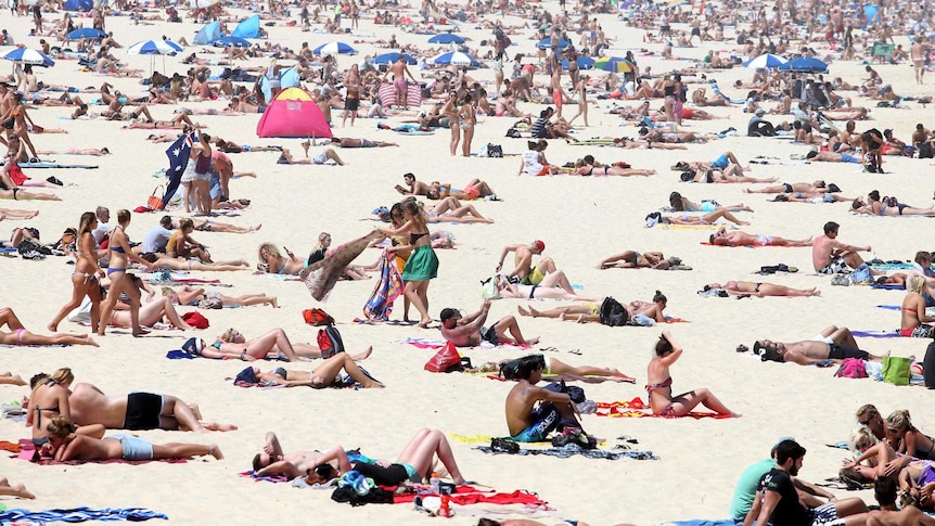 People sunbathe on a beach.
