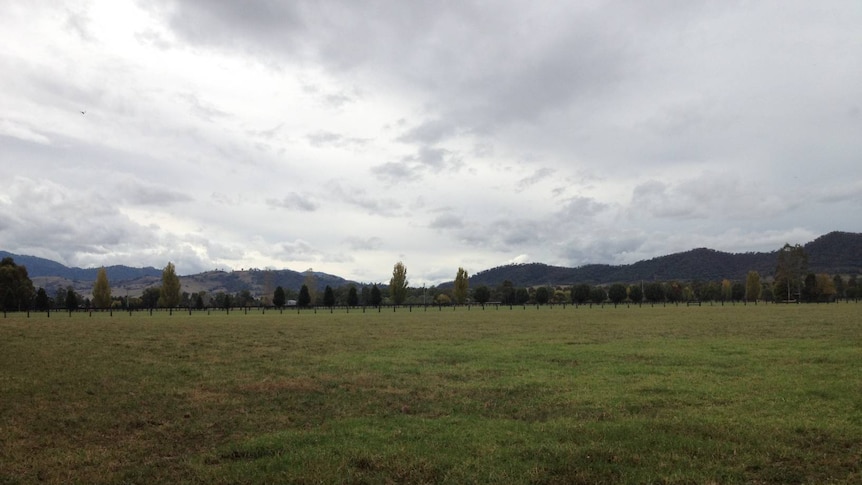 Thoroughbred breeding land, New South Wales