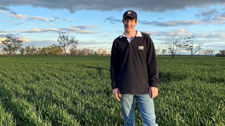 A photo of a young man standing in the middle of sewn crops near Moree