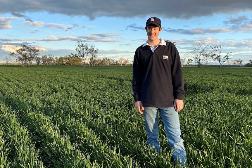 A photo of a young man standing in the middle of sewn crops near Moree